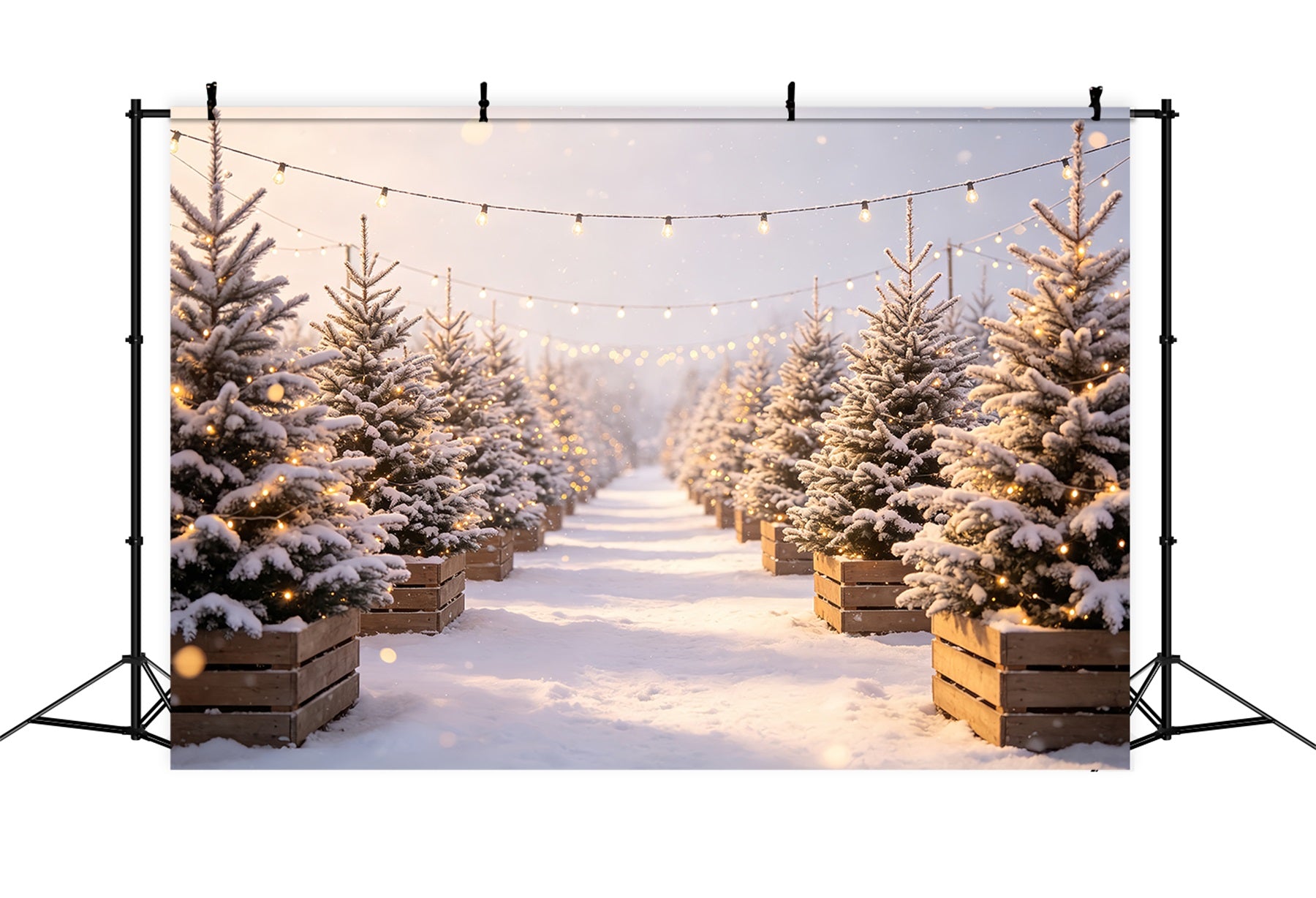 Christmas Tree Farm Backdrop Snowy Pine Light Path Photo Backdrop Christmas CSH68-97