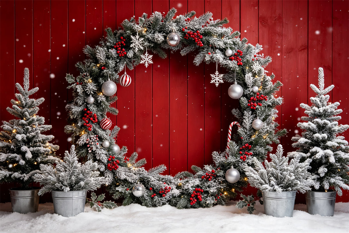 Christmas Photo Booth Backdrop Frosted Red Wreath Wall Christmas Backdrops Photography CSH69-69