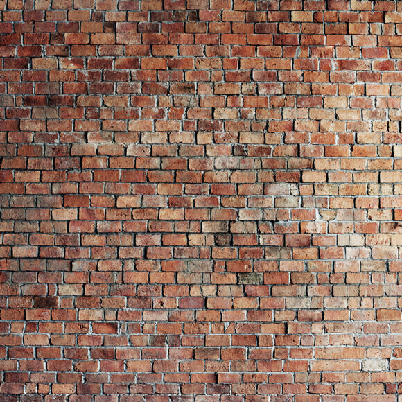 Vintage Red Brick Wall Photo Backdrop D249-1