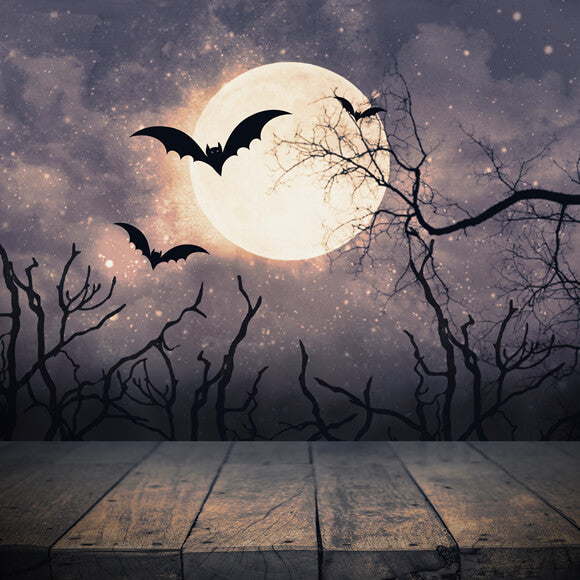 Halloween Night Moon and Bats Photo Booth Backdrop DBD-H19004