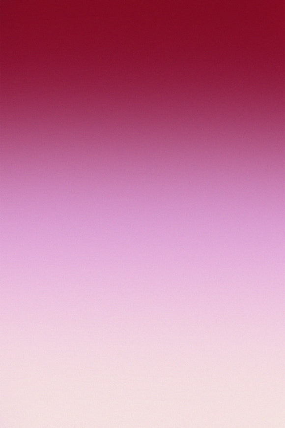 Red Pink Gradient Headshot Backdrop Photography Backdrops DBD25-48