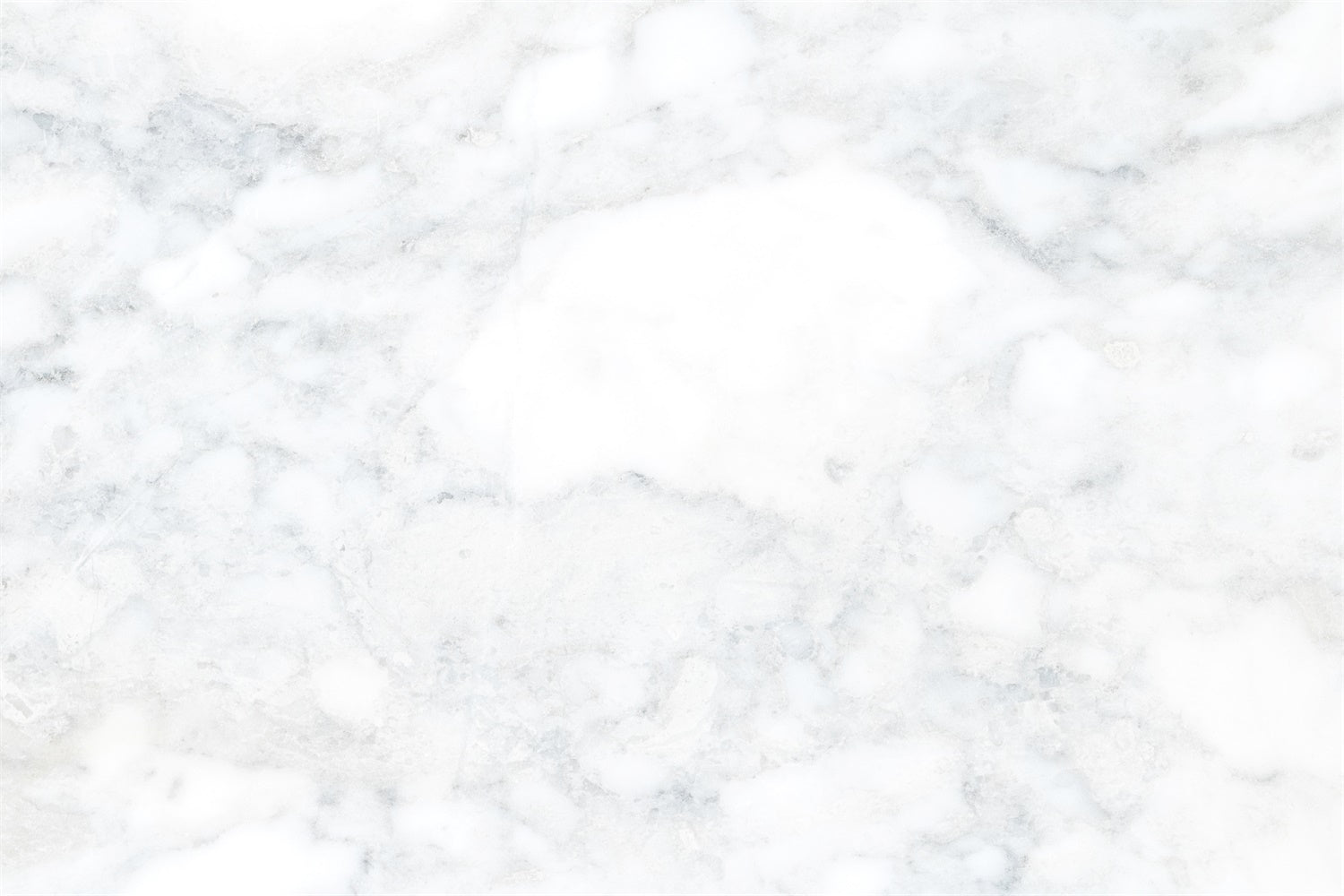 White Marble Backdrop Delicate Cool Tone Studio Backdrop GQ4-144
