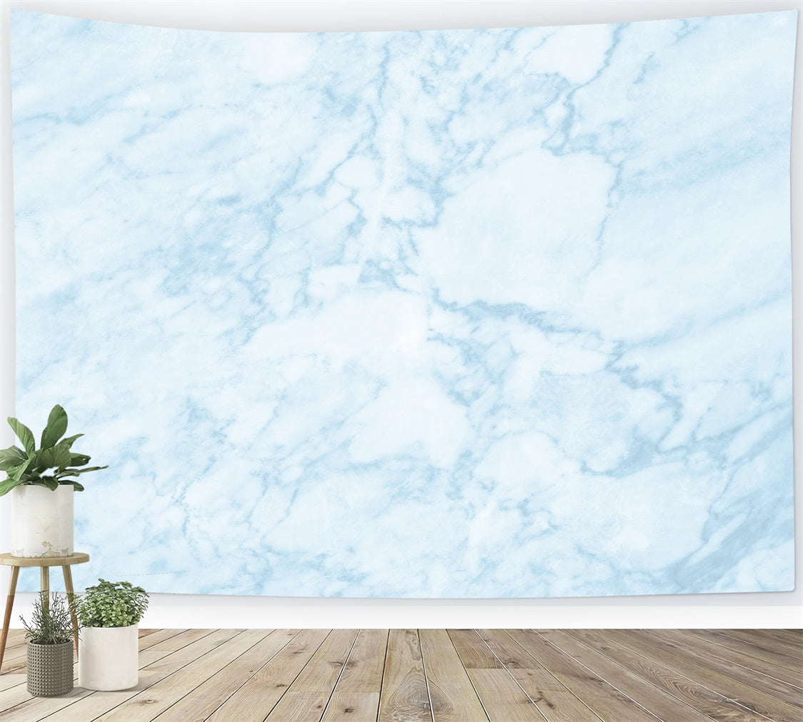 Blue Marble Backdrop Delicate Blue Stone Veins Backdrop GQ4-148