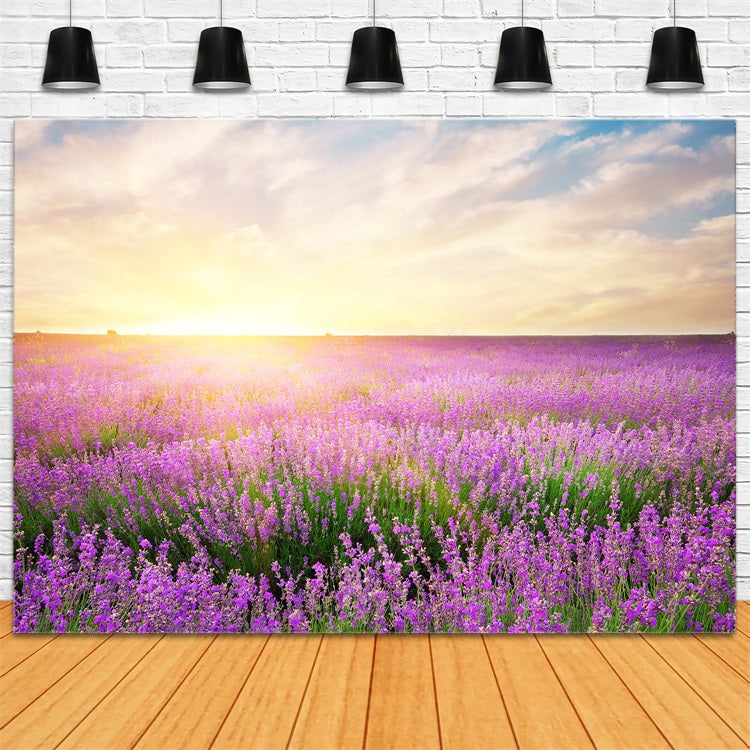 Lavender Backdrop Morning Bloom Floral Photography Backdrop GQ4-21