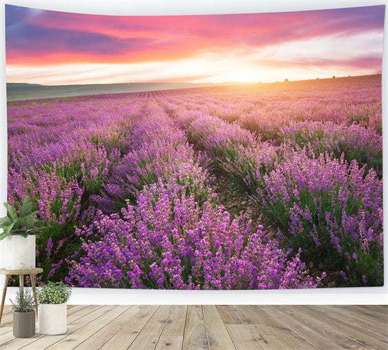 Purple Backdrop For Photography Sunset Lavender Rows Backdrop GQ4-22