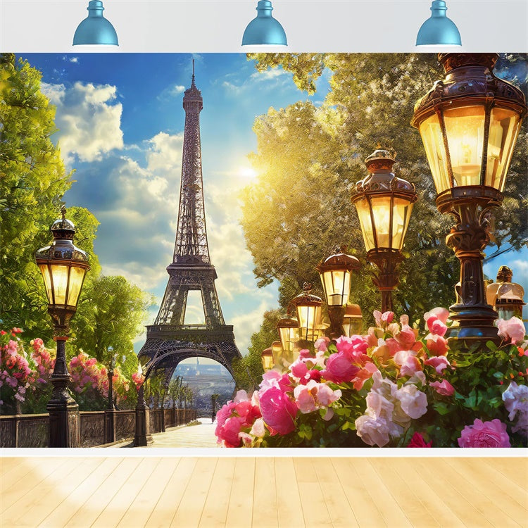 Paris Photo Backdrop Garden Path Vintage Lantern Backdrop GQ4-51