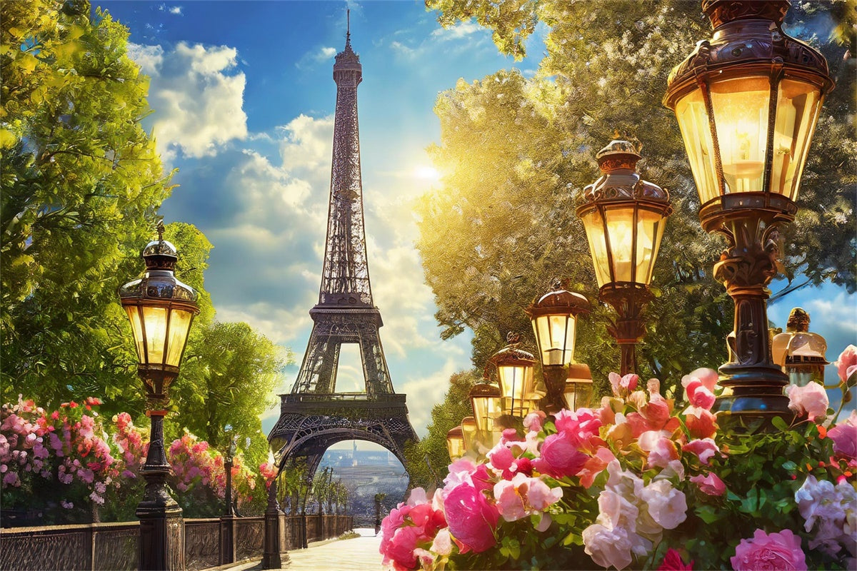 Paris Photo Backdrop Garden Path Vintage Lantern Backdrop GQ4-51