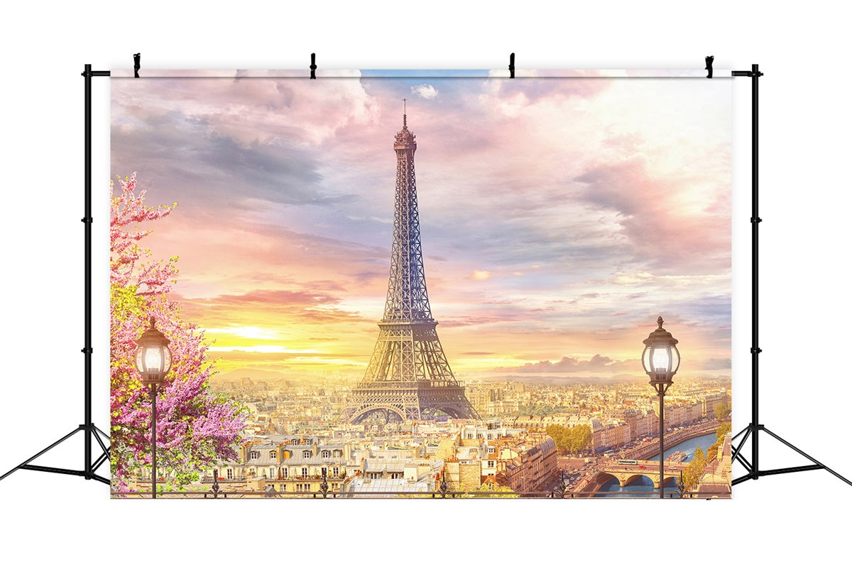 Paris Photo Backdrops Charming Skyline Paris View Backdrop GQ4-54