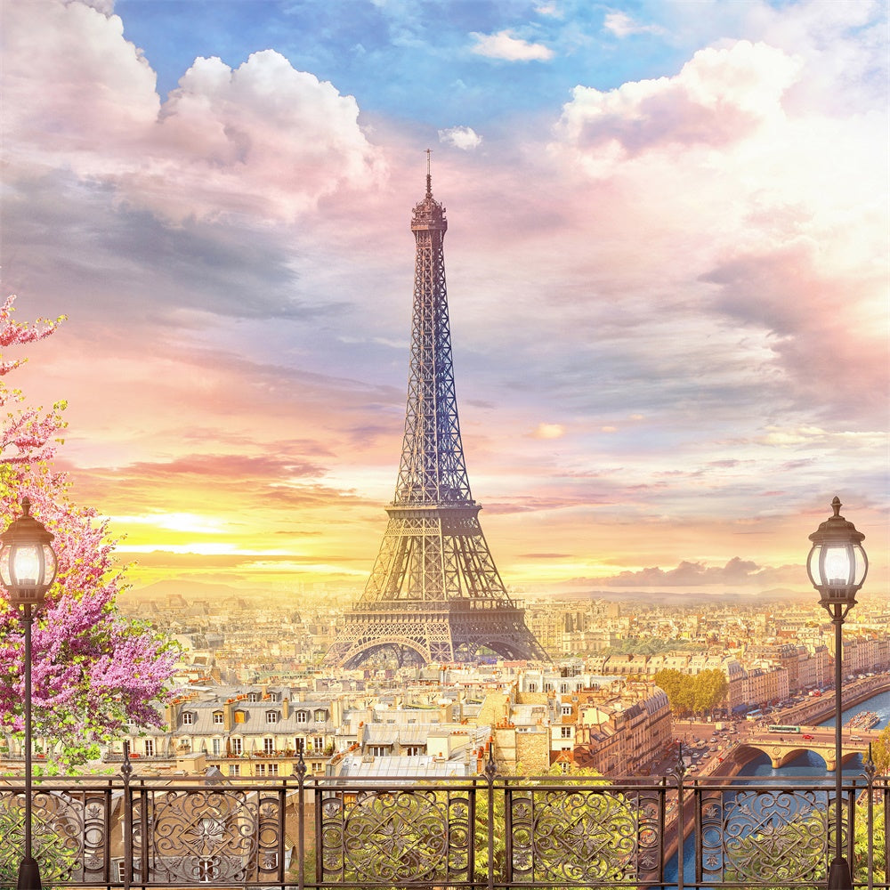 Paris Photo Backdrops Charming Skyline Paris View Backdrop GQ4-54