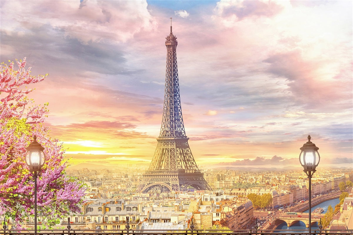 Paris Photo Backdrops Charming Skyline Paris View Backdrop GQ4-54