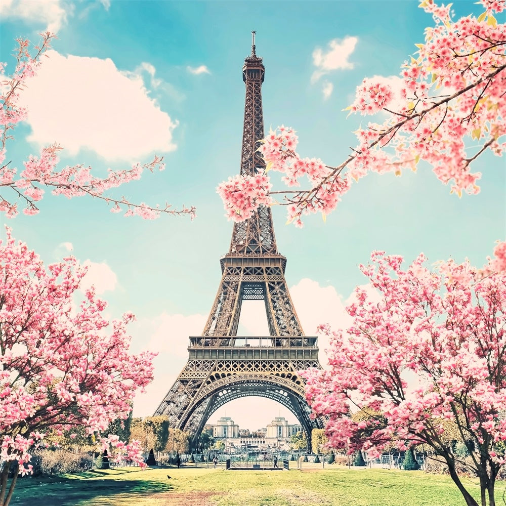 Paris Eiffel Tower Backdrop Romantic Cherry Blossom Backdrop GQ4-55