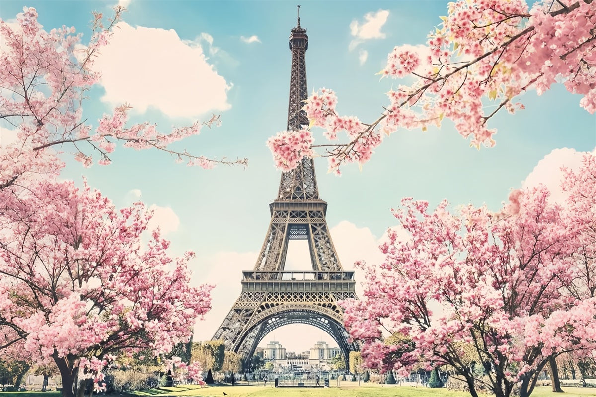 Paris Eiffel Tower Backdrop Romantic Cherry Blossom Backdrop GQ4-55