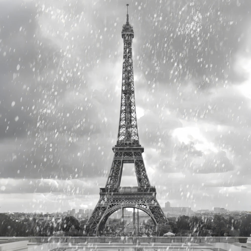 Paris Photo Backdrop Vintage Eiffel Tower Rainfall Backdrop GQ4-62