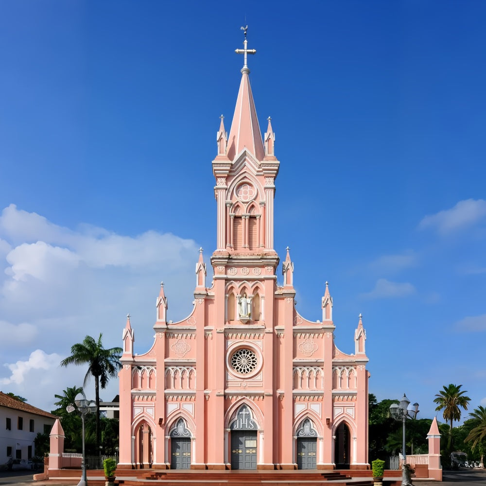 Church Stage Backdrop Pink Gothic Architecture Backdrop GQ4-76