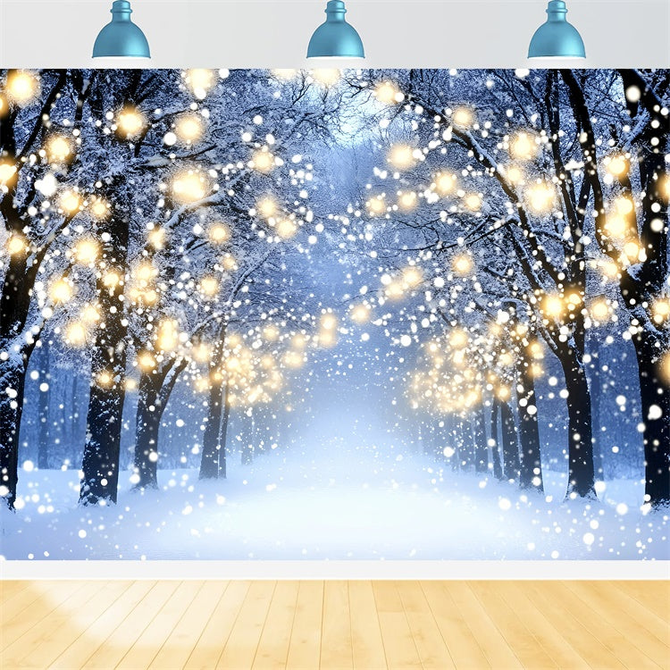 Winter Photo Backdrop Glowing Forest Walk Backdrop GQ57-151