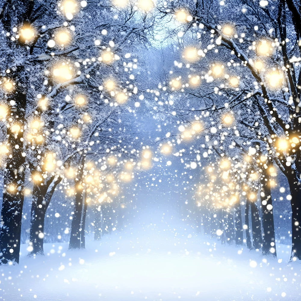 Winter Photo Backdrop Glowing Forest Walk Backdrop GQ57-151