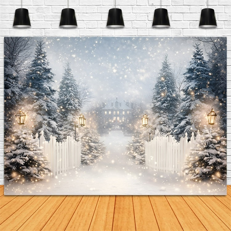 Winter Snow Backdrop Lantern Snow Trail Backdrop GQ57-152