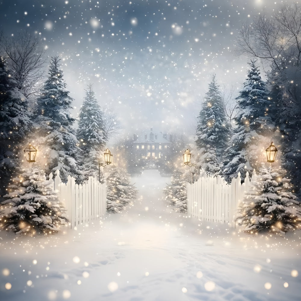 Winter Snow Backdrop Lantern Snow Trail Backdrop GQ57-152