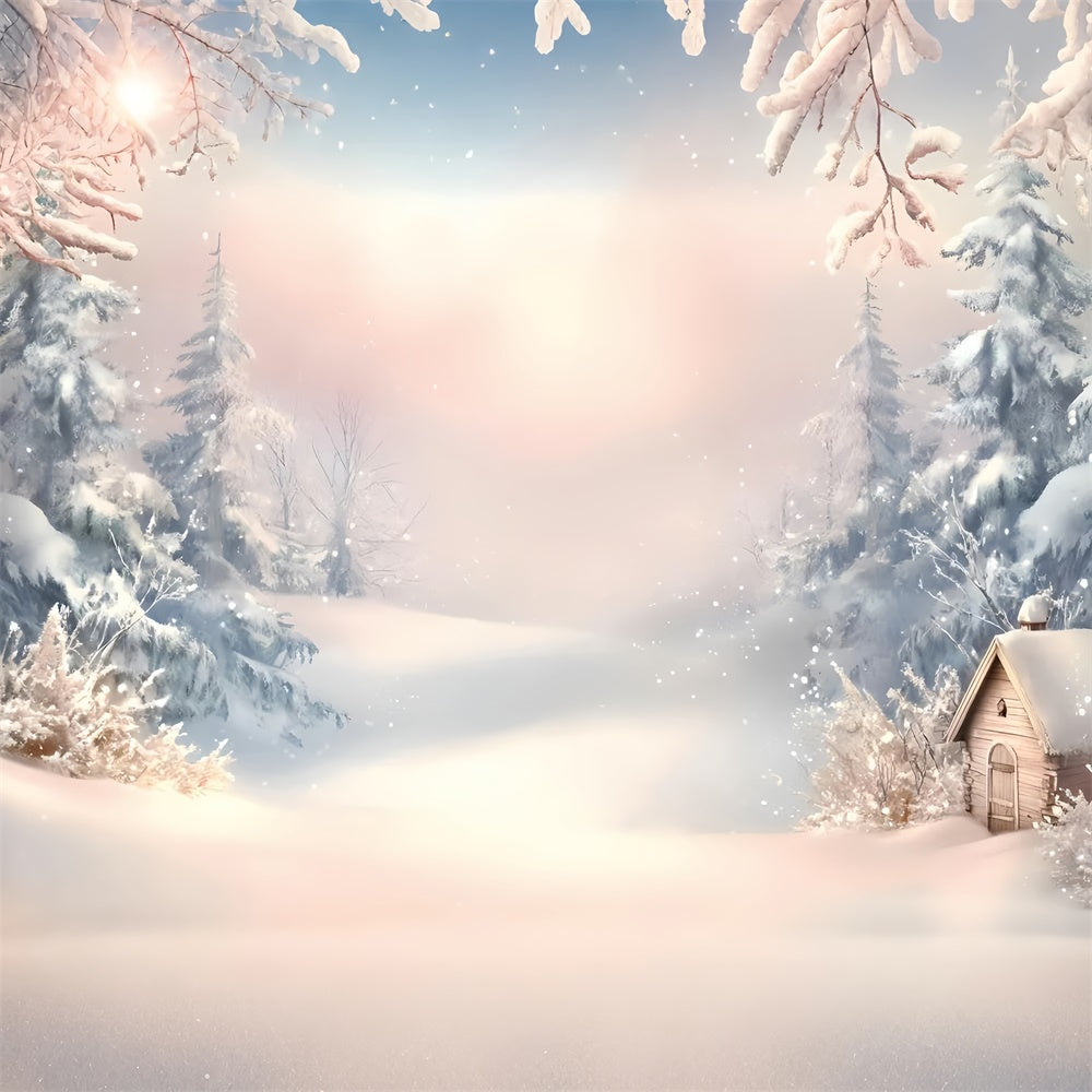 Winter Scene Backdrop Dreamy Frost Morning Backdrop GQ57-158