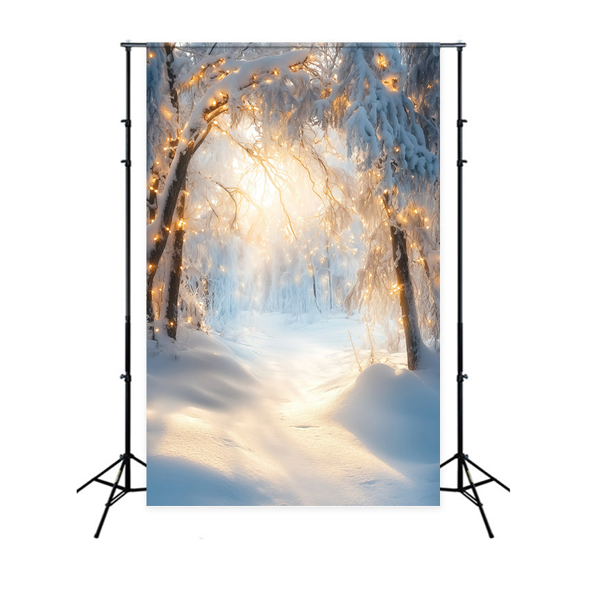 Winter Snow Backdrop Golden Frost Archway Backdrop GQ57-161