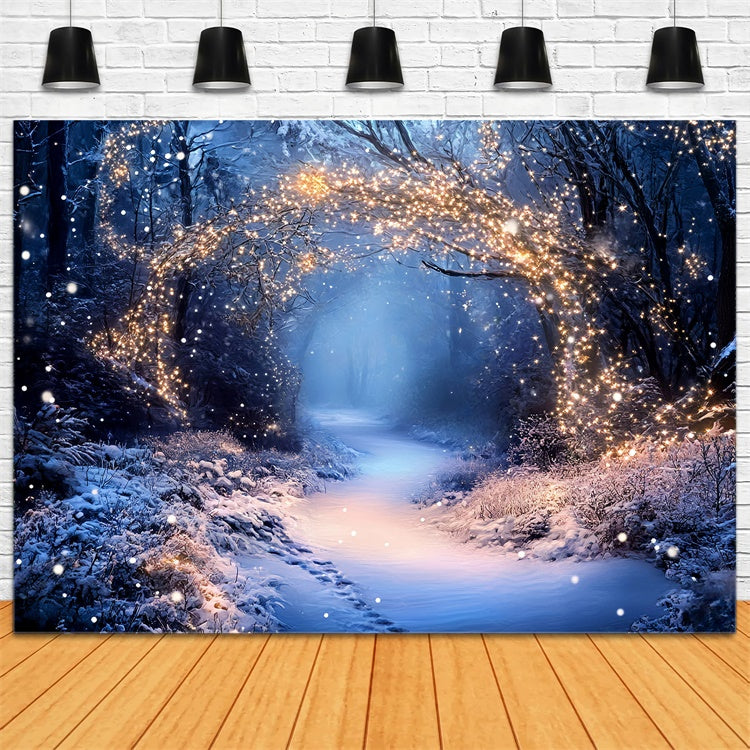 Winter Forest Backdrop Fairy Lights Trail Backdrop GQ57-174