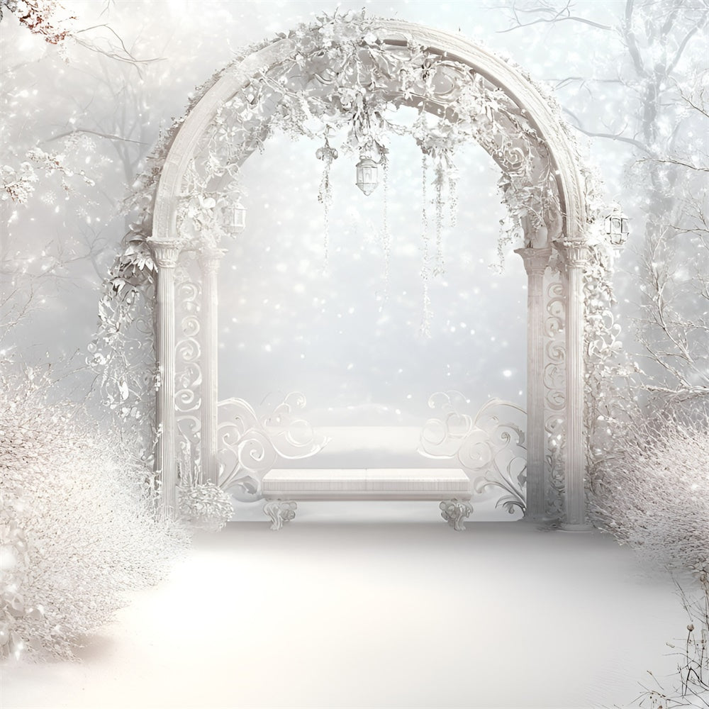 Winter Photo Backdrop Frosted Elegance Arch Backdrop GQ57-175