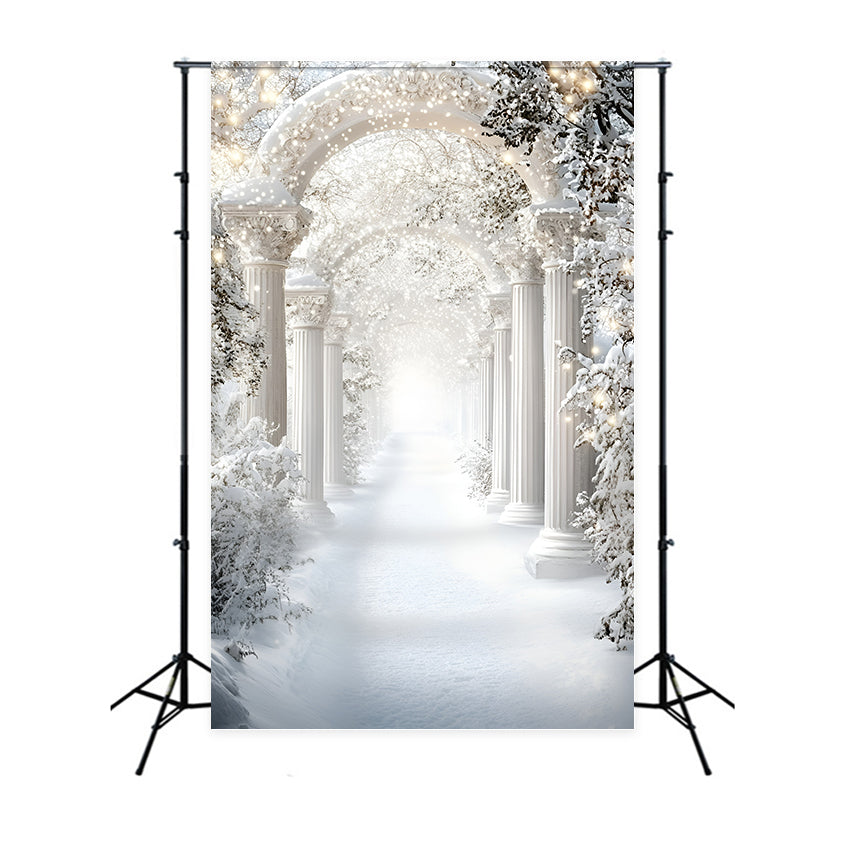 Winter Backdrop Royal Snow Arch Corridor Backdrop GQ57-177