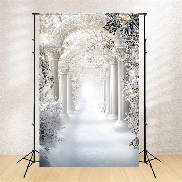Winter Backdrop Royal Snow Arch Corridor Backdrop GQ57-177