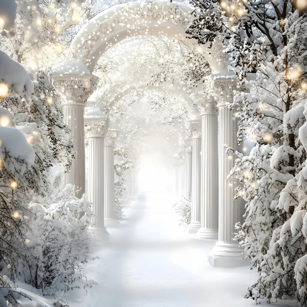 Winter Backdrop Royal Snow Arch Corridor Backdrop GQ57-177