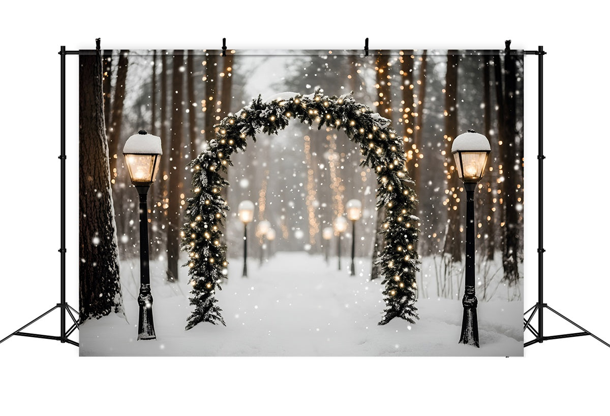 Winter Forest Backdrop Magic Lantern Snow Path Backdrop GQ57-72