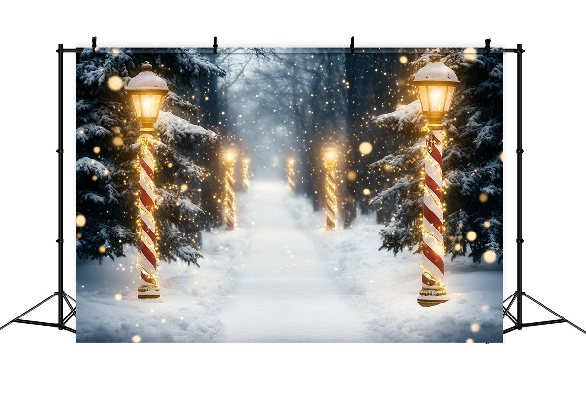 Snow Forest Backdrop Holiday Magic Forest Backdrop GQ57-73