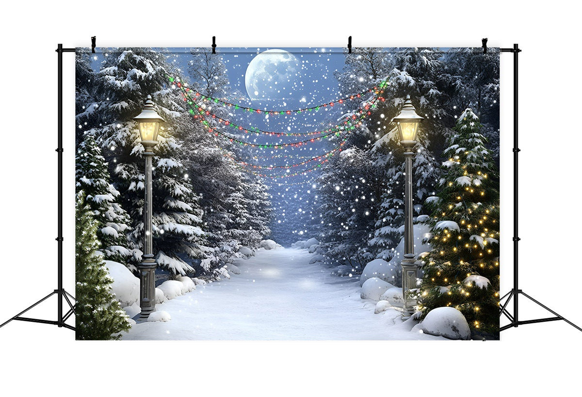 Night Forest Backdrop Full Moon Winter Trail Backdrop GQ57-74
