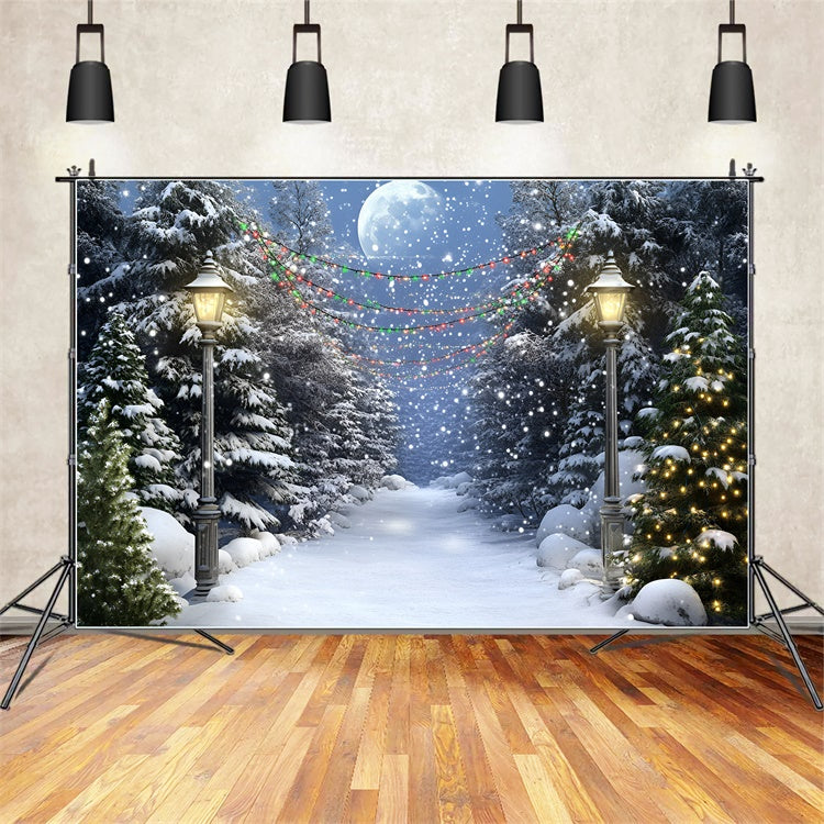 Night Forest Backdrop Full Moon Winter Trail Backdrop GQ57-74