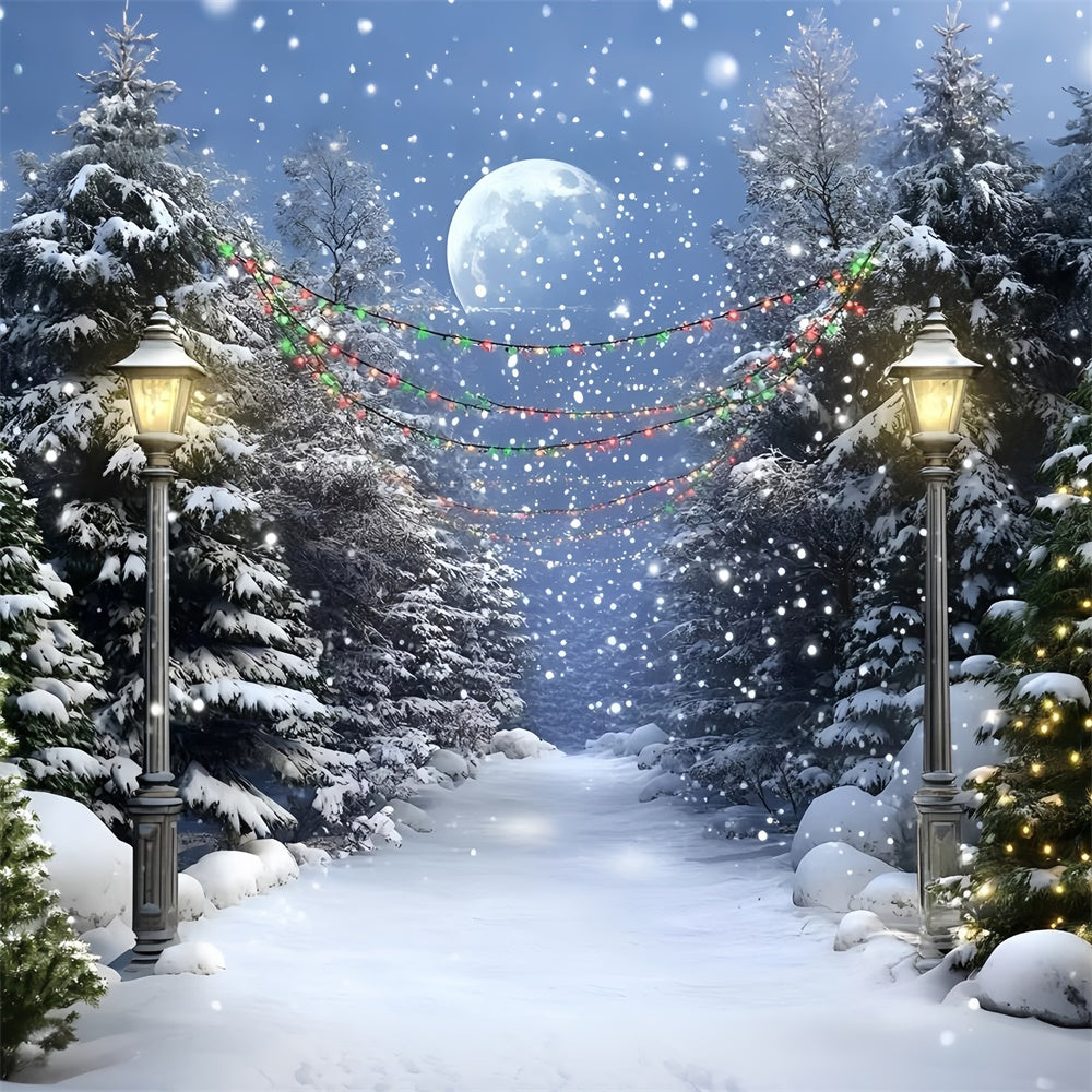 Night Forest Backdrop Full Moon Winter Trail Backdrop GQ57-74