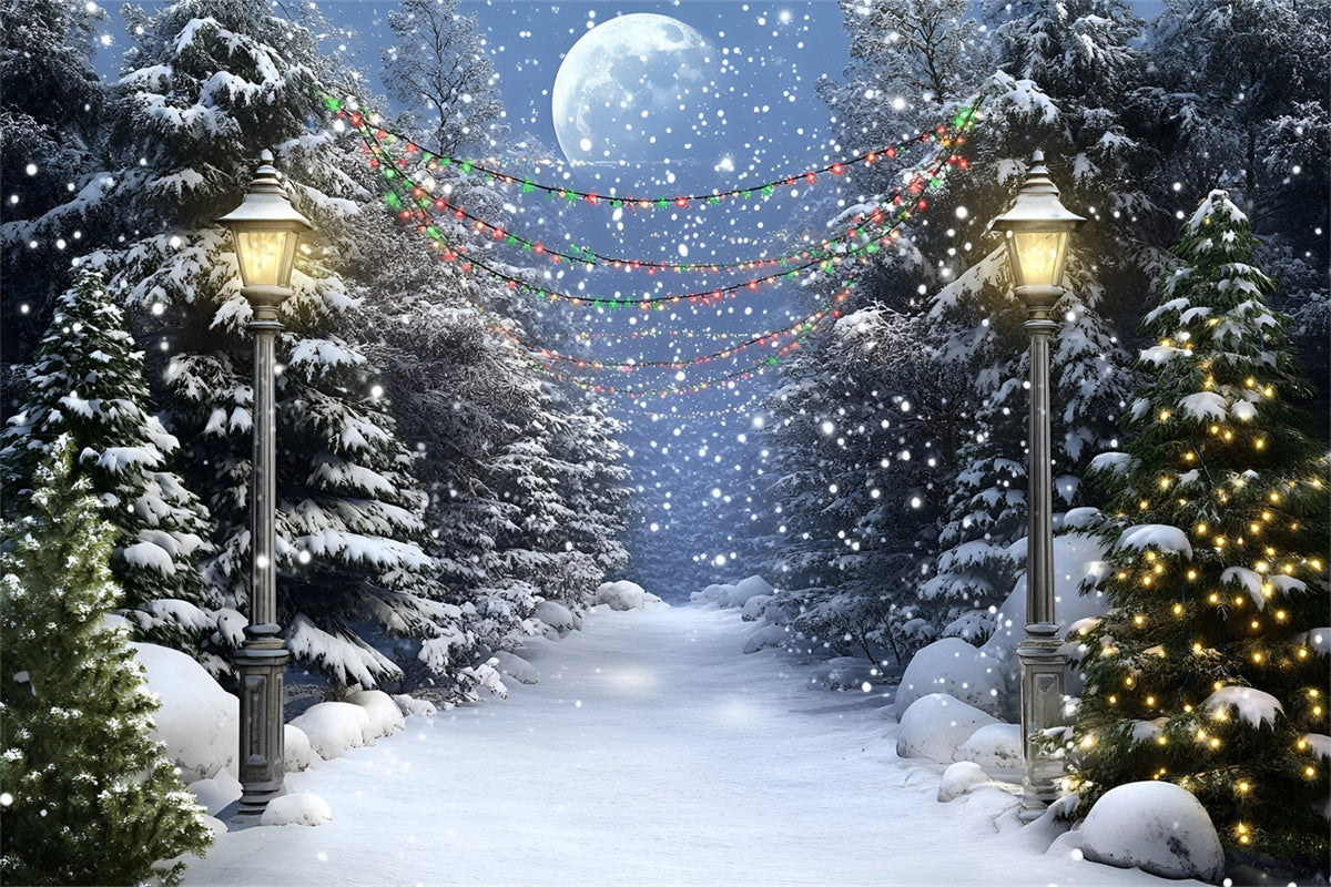 Night Forest Backdrop Full Moon Winter Trail Backdrop GQ57-74