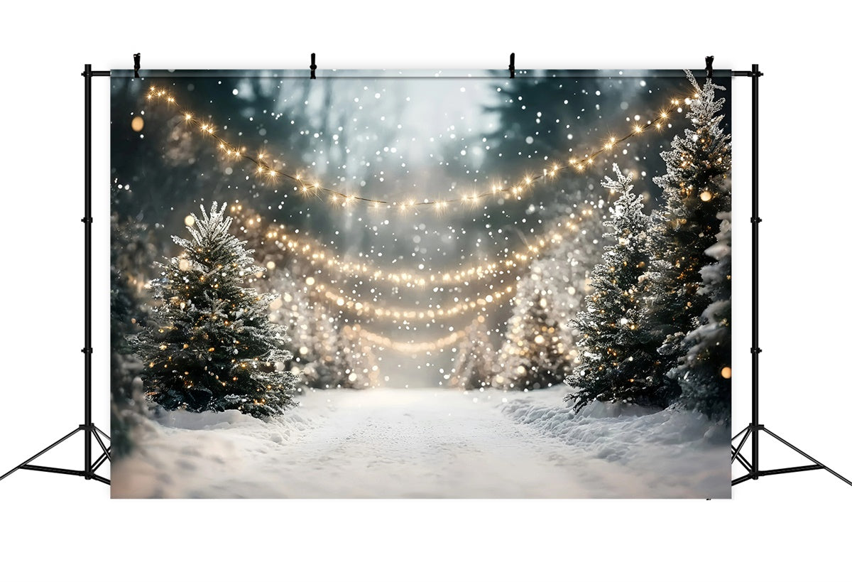 Christmas Forest Backdrop Festive Frost Trail Backdrop GQ57-85