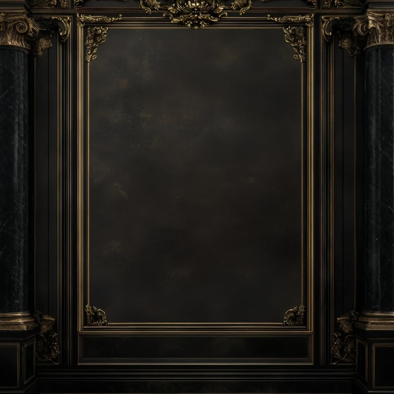 Dark Backdrop Ornate Baroque Gold Frame on Dark Wall Portrait Studio Backdrop GQ58-70