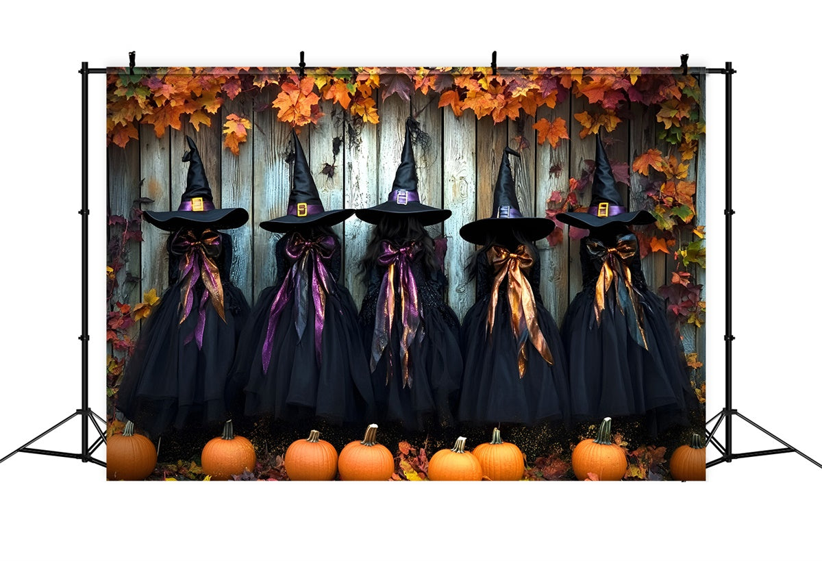 Halloween Witch Backdrop Spooky Witch Wardrobe Backdrop GQ6-251