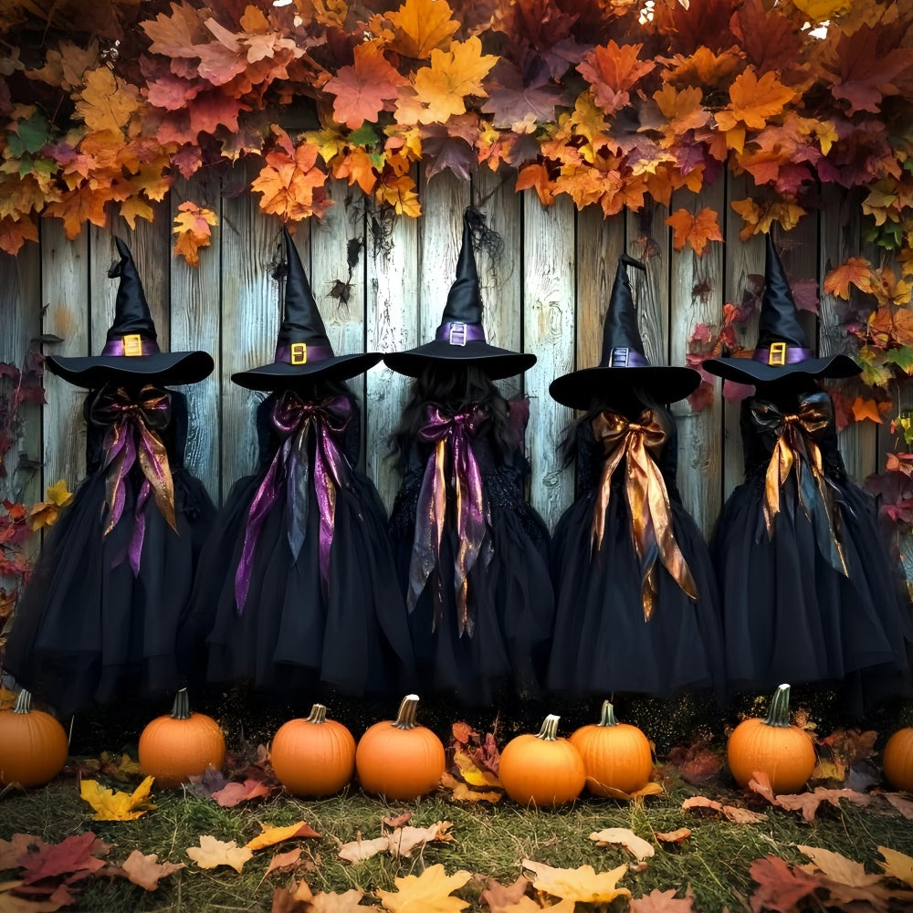Halloween Witch Backdrop Spooky Witch Wardrobe Backdrop GQ6-251
