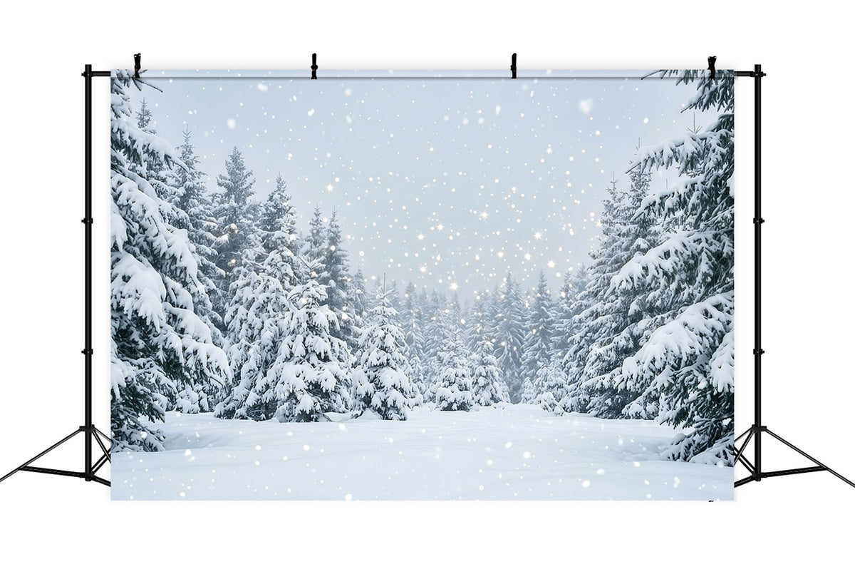 Christmas Tree Backdrops Snowy Evergreen Forest Christmas Photoshoot Backdrops GQ610-111