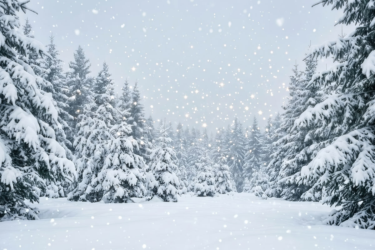 Christmas Tree Backdrops Snowy Evergreen Forest Christmas Photoshoot Backdrops GQ610-111