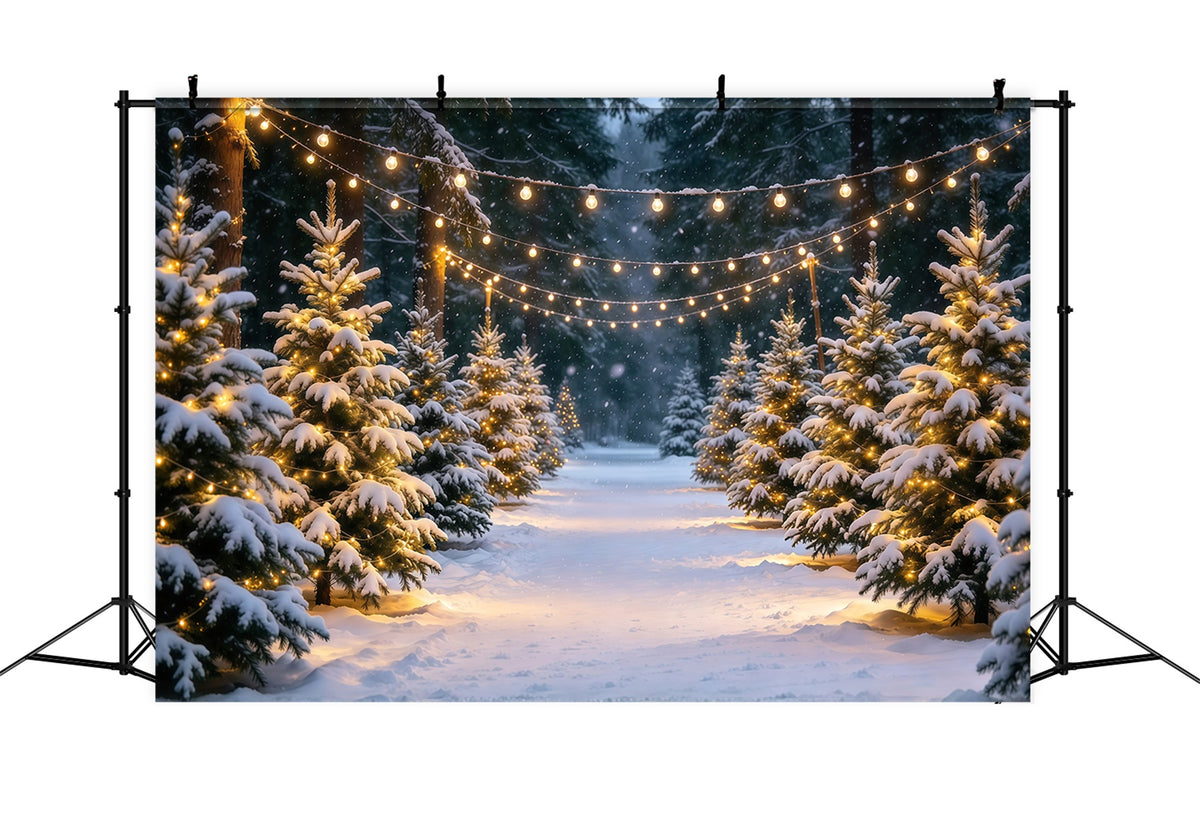 Christmas Tree Farm Backdrop Snowy Pine Stringlight Path Christmas Tree Backdrops GQ610-16