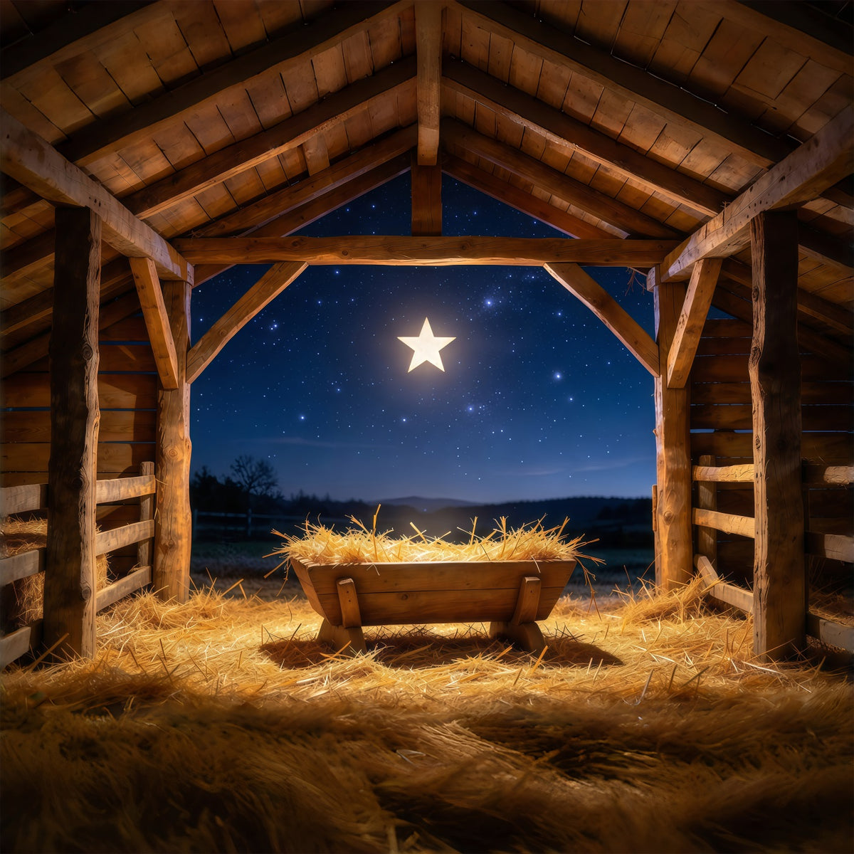 Nativity Scene Backdrop Starry Night Manger Stable Manger Scene Backdrop GQ610-61