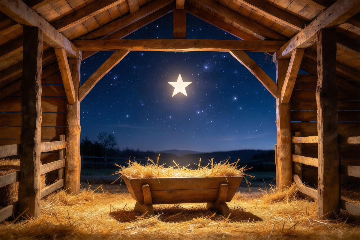 Nativity Scene Backdrop Starry Night Manger Stable Manger Scene Backdrop GQ610-61