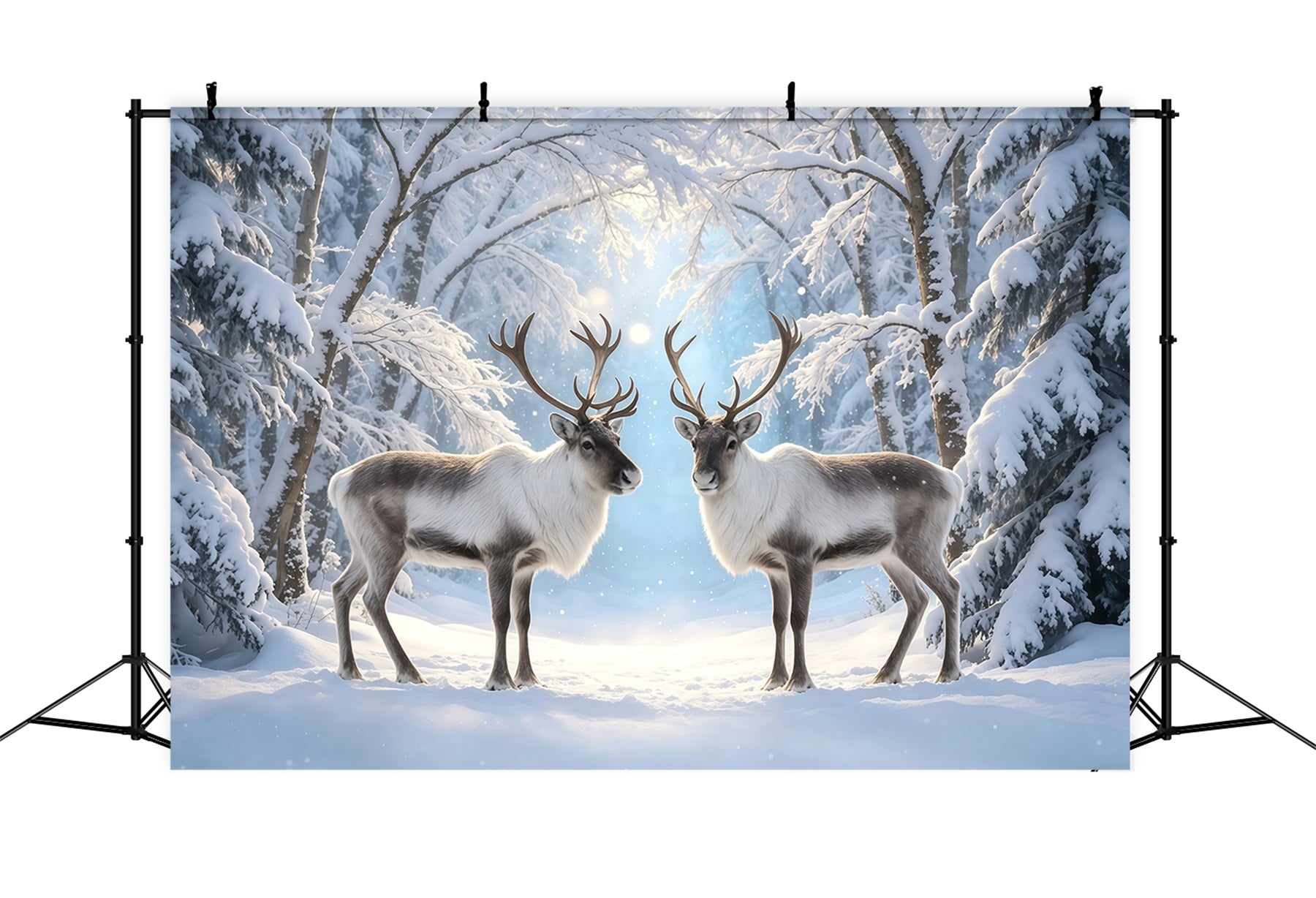 Snowy Christmas Backdrop Reindeer Winter Forest Path Christmas Photo Backdrop GQ68-117