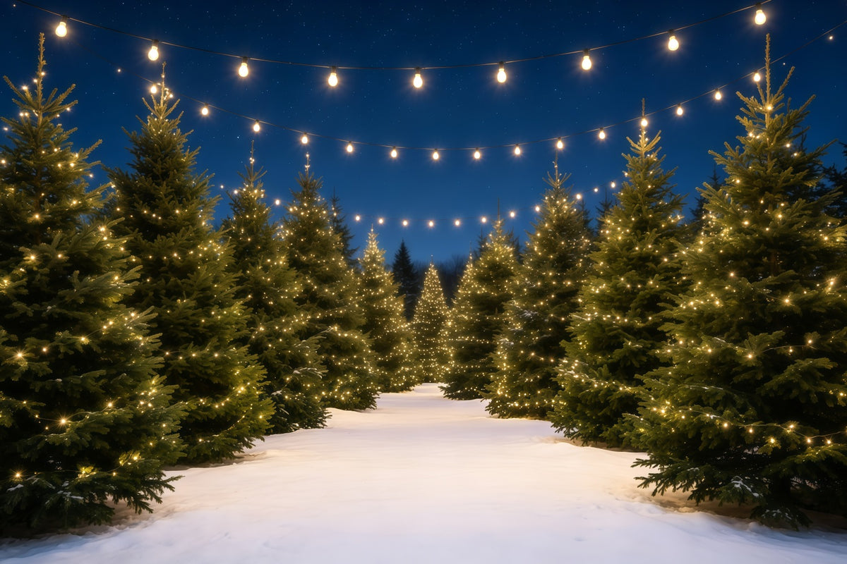 Christmas Tree Farm Backdrop Snowy Pine Light Path Christmas Backdrops GQ68-132