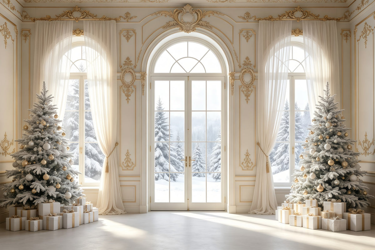 Elegant Christmas Backdrop Vintage Snowy Window View Christmas Backdrops GQ68-79