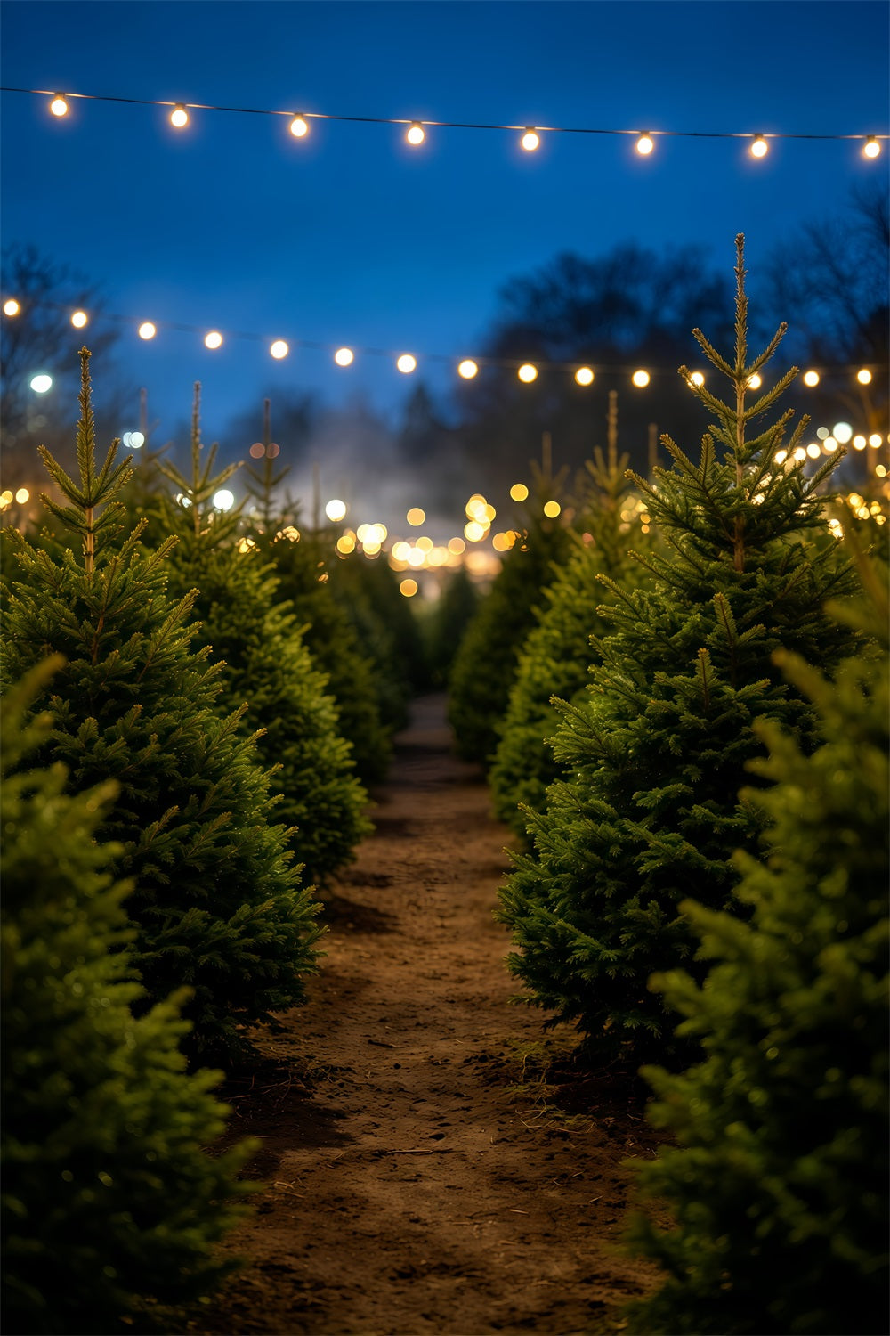 Christmas Tree Backdrop Nighttime Pine Tree Pathway Indoor Christmas Backdrops GQ69-49