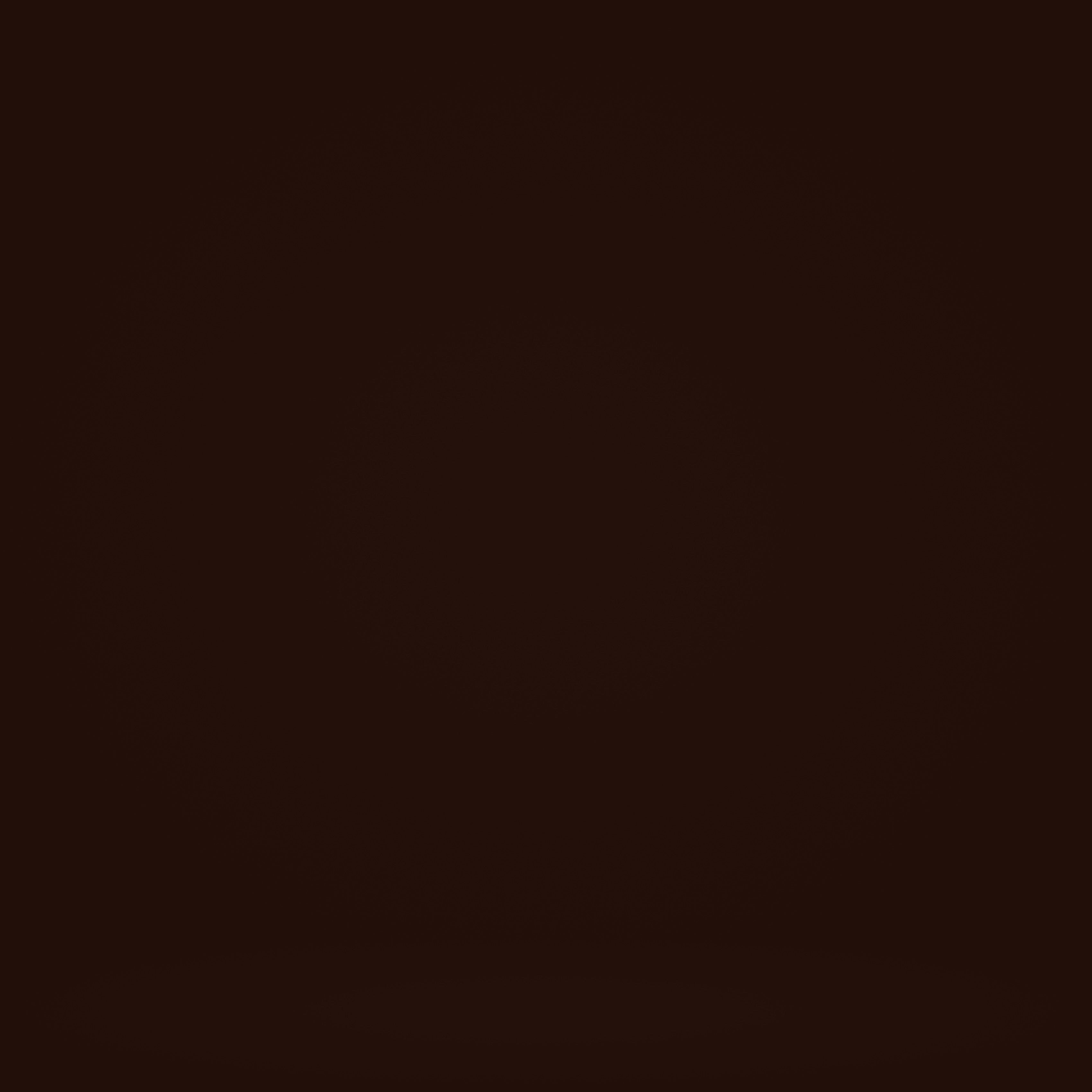 Portrait Backdrops Chocolate Brown Classic Backdrop GTY2-127