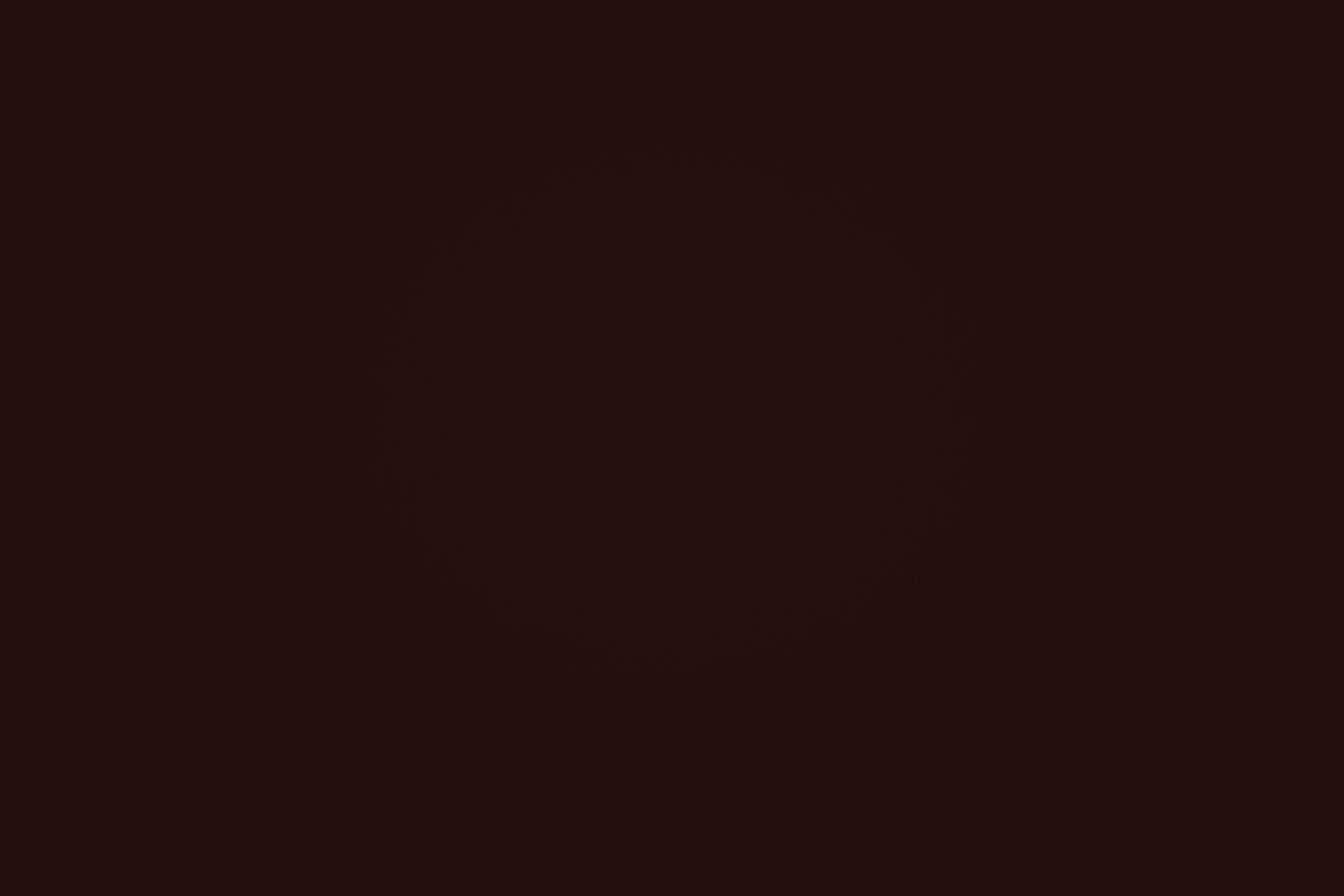 Portrait Backdrops Chocolate Brown Classic Backdrop GTY2-127